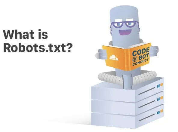 Robots.txt 或 Noindex 配置错误